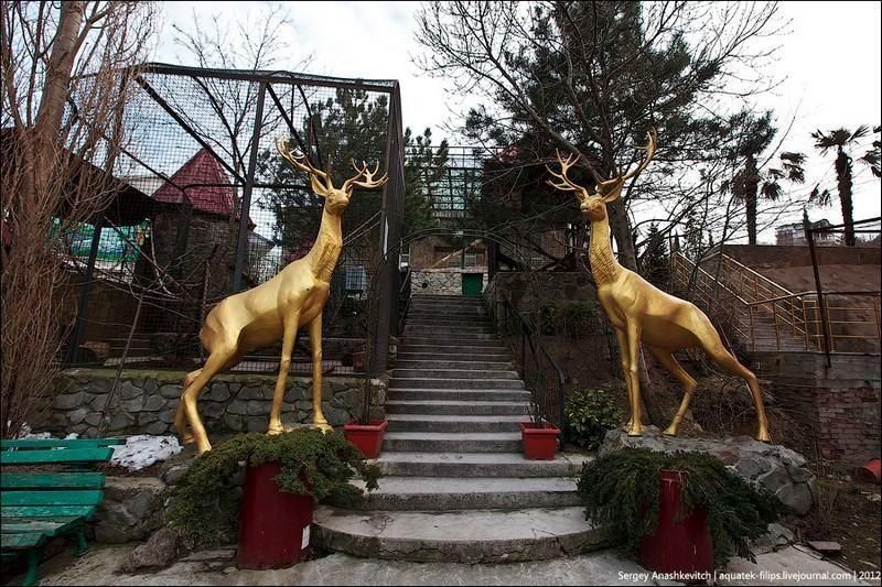 YAltinskij zoopark Skazka 1